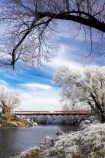 beautiful;bridge;bridges;calm;calmness;clean;clear;cold;Coldness;Color;Colour;Daytime;Exterior;freeze;freezing;freezing-fog;frost;Frosted;frosty;grass;grasses;heritage;high-country;historic;Historic-Suspension-Bridge;historical;history;hoar-frost;Hoarfrost;ice;ice-crystals;icy;idyllic;Landscape;Landscapes;natural;Nature;new-zealand;old;Otago;Outdoor;Outdoors;Outside;peaceful;Peacefulness;phenomena;phenomenon;pure;Quiet;Quietness;rime;river;river-bank;riverbank;rivers;rustic;Scenic;Scenics;Season;Seasons;silence;south-island;spectacular;stone;strath-taieri;stunning;suspension-bridges;sutton;taieri-River;tranquil;tranquility;tree;trees;view;water;weather;White;willow;willows;winter;Wintertime;wintery;wintry