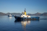calm;Dunedin;Karetai;N.Z.;New-Zealand;NZ;Otago;Otago-Harbor;Otago-Harbour;placid;quiet;Rangi;reflection;reflections;S.I.;serene;SI;smooth;South-Is.;South-Island;still;tranquil;tug;tug-boat;tug-boats;tug_boat;tug_boats;tugboat;tugboats;tugs;water