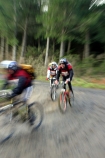 Berwick-Forest;Southern-Traverse;Southern-Traverse-2003;Southern-Traverse-Adventure-Race;Dunedin;Otago;New-Zealand;Team-Omnigraphics;Omnigraphics;Sponsor;Sponsored;athlete;athletes;endure;endurance;stamina;challenge;effort;marathon;long-distance;long_distance;team;teams;team-member;team-members;team_member;team_members;compete;competing;competition;competitor;competitors;race;racing;cycle;cycling;cyclist;cyclists;bicycle;bicycles;bike;biking;biker;bikers;mountain-bike;mountain-bikes;mountain-biker;mountain-bikers;helmet;helmets;pedal;pedals;pedaling;pedalling;road;roads;gravel;fast;speed;speedy;zoom;zooming;blur;forestry