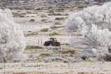 agricultural;agriculture;beautiful;calm;calmness;clean;clear;cold;Coldness;Color;Colour;country;countryside;Daytime;Exterior;farm;farming;farmland;farms;field;fields;freeze;freezing;freezing-fog;frost;Frosted;frosty;high-country;hoar-frost;Hoarfrost;ice;ice-crystals;icy;idyllic;Landscape;Landscapes;meadow;meadows;natural;Nature;new-zealand;otago;Outdoor;Outdoors;Outside;paddock;paddocks;pasture;pastures;peaceful;Peacefulness;phenomena;phenomenon;pure;Quiet;Quietness;rime;rural;Scenic;Scenics;Season;Seasons;silence;south-island;spectacular;strath-taieri;stunning;sutton;tranquil;tranquility;tree;trees;view;water;weather;White;willow;willows;winter;Wintertime;wintery;wintry