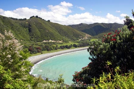 coast;coastal;coastline;east-cape;east-coast;Eastland;flower;flowers;leptospermum-scoparium;Manuka;manukas;Maraenui-Lookout;metrosideros-excelsa;new-zealand;north-is.;north-island;ocean;oceans;plant;plants;pohutakawa;pohutakawas;pohutukawa;pohutukawa-flower;pohutukawa-flowers;pohutukawa-tree;pohutukawa-trees;pohutukawas;sea;shore;shoreline;surf;tea-tree;tea-trees;tea_tree;tea_trees;teatree;teatrees;tree;trees;wave;waves;Whituare-Bay