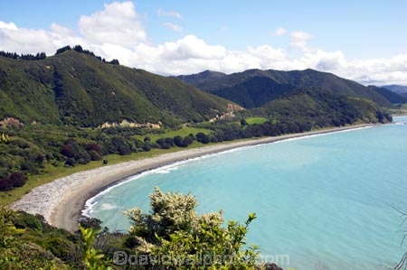 coast;coastal;coastline;east-coast;Eastland;Flower;flowers;leptospermum-scoparium;Manuka;manukas;Maraenui-Lookout;new-zealand;north-is.;north-island;ocean;oceans;sea;shore;shoreline;surf;tea-tree;tea-trees;tea_tree;tea_trees;teatree;teatrees;wave;waves;Whituare-Bay