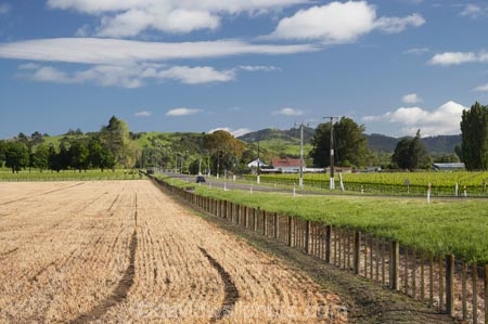 agricultural;agriculture;country;countryside;crop;crops;Eastland;farm;farming;farmland;farms;fence;fence-line;fence-lines;fence_line;fence_lines;fenceline;fencelines;fences;field;fields;Gisborne;horticulture;meadow;meadows;N.I.;N.Z.;New-Zealand;NI;North-Is;North-Is.;North-Island;NZ;paddock;paddocks;pasture;pastures;rural;stubble;Waipaoa