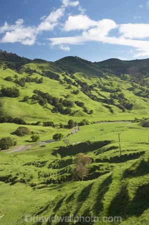 agricultural;agriculture;country;countryside;Eastland;farm;farming;farmland;farms;field;fields;meadow;meadows;N.I.;N.Z.;New-Zealand;NI;North-Is;North-Is.;North-Island;NZ;Otoko-Track;Otoko-Walkway;paddock;paddocks;pasture;pastures;rural;season;seasonal;seasons;spring;springtime;Te-Karaka;Waihuka-River;Waihuka-River-Valley
