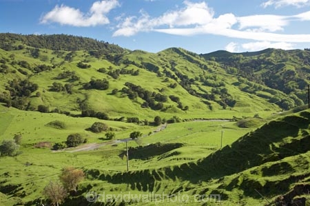 agricultural;agriculture;country;countryside;Eastland;farm;farming;farmland;farms;field;fields;meadow;meadows;N.I.;N.Z.;New-Zealand;NI;North-Is;North-Is.;North-Island;NZ;Otoko-Track;Otoko-Walkway;paddock;paddocks;pasture;pastures;rural;season;seasonal;seasons;spring;springtime;Te-Karaka;Waihuka-River;Waihuka-River-Valley
