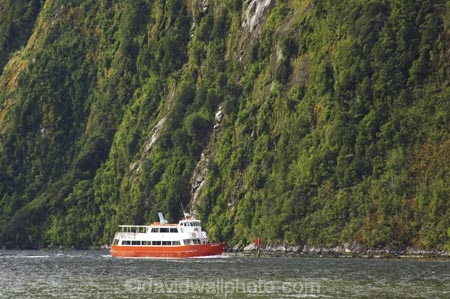 boat;boats;bush;coast;coastal;coastline;color;colors;colour;colours;cruise;cruises;fiord;fiordland-national-park;fiords;fjord;fjords;forest;forests;grandeur;green;launch;launches;majestic;majesty;Milford-Sound;moss;mountainside;mountainsides;native-bush;natural;nature;New-Zealand;red-boat;red-boats;scene;scenery;scenic;sound;sounds;South-Island;south-west;te-wahipounamu-south_west-new;te-waihipounamusouth-west-new;tour-boat;tour-boats;tourism;tourist;tourist-boat;tourist-boats;tourists;trees;water;world-heritage-area