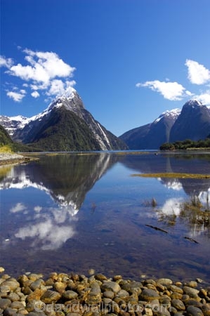beautiful;beauty;bluff;bluffs;calm;calmness;cliff;cliffs;coast;coastal;coastline;fiord;fiordland;Fiordland-National-Park;fiords;fjord;fjords;majestic;middle-earth;Milford-Sound;Mitre-Peak;mountain;mountains;natural;nature;New-Zealand;peak;peaks;reflection;reflections;scene;scenic;sea;snow;snowy;sounds;South-Island;south-west;southland;still;stillness;summit;summits;te-wahipounamu;te-wahipounamu-south_west-new;water;world-heirtage-site;world-heritage-area