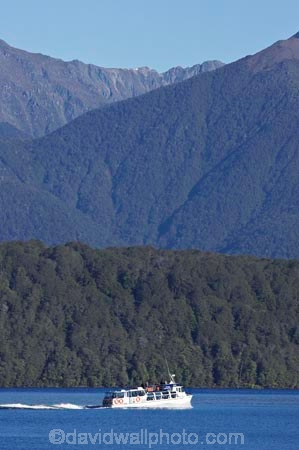 beautiful;beauty;Beech-Forest;boat;boats;bush;cruise;cruises;endemic;fiordland;Fiordland-N.P;fiordland-national-park;Fiordland-NP;forest;forests;green;holiday;holidaying;Holidays;lake;Lake-Te-Anau;lakes;launch;launches;n.z.;national-park;National-parks;native-bush;natural;nature;new-zealand;Nothofagus;nz;rain-forest;rain-forests;rain_forest;rain_forests;rainforest;rainforests;S.I.;scene;scenic;SI;South-Island;South-West-New-Zealand-World-Her;southern-beeches;Southland;te-anau;Te-Anau-Glow-Worm-Caves;te-wahipounamu;te-wahipounamu-south_west-new;tour-boat;tour-boats;tourism;tourist;tourist-boat;tourist-boats;tourists;travel;traveler;traveling;traveller;travelling;trees;Vacation;Vacationers;vacationing;Vacations;water;world-heirtage-site;world-heritage-area