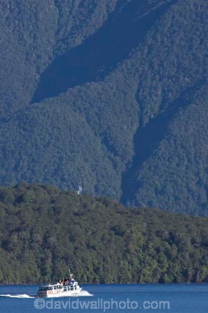 beautiful;beauty;Beech-Forest;boat;boats;bush;cruise;cruises;endemic;fiordland;Fiordland-N.P;fiordland-national-park;Fiordland-NP;forest;forests;green;holiday;holidaying;Holidays;lake;Lake-Te-Anau;lakes;launch;launches;n.z.;national-park;National-parks;native-bush;natural;nature;new-zealand;Nothofagus;nz;rain-forest;rain-forests;rain_forest;rain_forests;rainforest;rainforests;S.I.;scene;scenic;SI;South-Island;South-West-New-Zealand-World-Her;southern-beeches;Southland;te-anau;Te-Anau-Glow-Worm-Caves;te-wahipounamu;te-wahipounamu-south_west-new;tour-boat;tour-boats;tourism;tourist;tourist-boat;tourist-boats;tourists;travel;traveler;traveling;traveller;travelling;trees;Vacation;Vacationers;vacationing;Vacations;water;world-heirtage-site;world-heritage-area
