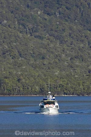 beautiful;beauty;Beech-Forest;boat;boats;bush;cruise;cruises;endemic;fiordland;Fiordland-N.P;fiordland-national-park;Fiordland-NP;forest;forests;green;holiday;holidaying;Holidays;lake;Lake-Te-Anau;lakes;launch;launches;n.z.;national-park;National-parks;native-bush;natural;nature;new-zealand;Nothofagus;nz;rain-forest;rain-forests;rain_forest;rain_forests;rainforest;rainforests;S.I.;scene;scenic;SI;South-Island;South-West-New-Zealand-World-Her;southern-beeches;Southland;te-anau;Te-Anau-Glow-Worm-Caves;te-wahipounamu;te-wahipounamu-south_west-new;tour-boat;tour-boats;tourism;tourist;tourist-boat;tourist-boats;tourists;travel;traveler;traveling;traveller;travelling;trees;Vacation;Vacationers;vacationing;Vacations;water;world-heirtage-site;world-heritage-area