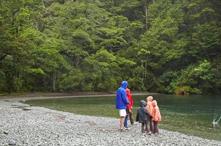 bad-weather;beautiful;beauty;Beech-Forest;bush;endemic;fiordland;Fiordland-N.P;fiordland-national-park;Fiordland-NP;forest;forests;gravel-road;gravel-roads;green;holiday;holidaying;Holidays;lake;lake-gunn;lakes;lush-verdant;metal-road;metal-roads;metalled-road;metalled-roads;milford-road;n.z.;national-park;National-parks;native;native-bush;natives;natural;nature;new-zealand;Nothofagus;nz;rain;rain-coat;rain-coats;rain-forest;rain-forests;rain_coat;rain_coats;rain_forest;rain_forests;raincoat;raincoats;rainforest;rainforests;raining;rainy;road;roads;S.I.;scene;scenic;SI;South-Island;South-West-New-Zealand-World-Her;southern-beeches;Southland;te-wahipounamu;te-wahipounamu-south_west-new;tourism;tourist;tourists;track;tracks;travel;traveler;traveling;traveller;travelling;tree;trees;Vacation;Vacationers;vacationing;Vacations;wood;woods;world-heirtage-site;world-heritage-area