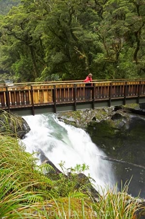bad-weather;beautiful;beauty;Beech-Forest;bridge;bridges;brook;brooks;bush;creek;creeks;endemic;fiordland;Fiordland-N.P;fiordland-national-park;flow;foot-bridge;foot-bridges;footbridge;footbridges;forest;forests;green;hiking-track;hiking-tracks;holiday;holidaying;Holidays;milford-road;n.z.;national-park;National-parks;native;native-bush;natives;natural;nature;new-zealand;Nothofagus;nz;pedestrian-bridge;pedestrian-bridges;rain;rain-forest;rain-forests;rain_forest;rain_forests;rainforest;rainforests;raining;rainy;rapids;S.I.;scene;scenic;SI;South-Island;South-West-New-Zealand-World-Her;southern-beeches;Southland;stream;streams;te-wahipounamu;te-wahipounamu-south_west-new;The-Chasm;tourism;tourist;tourists;track;tracks;travel;traveler;traveling;traveller;travelling;tree;trees;Vacation;Vacationers;vacationing;Vacations;walking-track;walking-tracks;water;waterfall;waterfalls;wet;white-water;Whitewater;wood;woods;world-heirtage-site;world-heritage-area