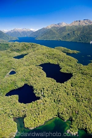 aerial;aerial-photo;aerial-photography;aerial-photos;aerial-view;aerial-views;aerials;air-to-air;alp;alpine;alps;altitude;beautiful;beauty;Beech-Forest;bush;bush-line;bush-lines;bush_line;bush_lines;bushline;bushlines;endemic;Fiordland;Fiordland-N.P;Fiordland-National-Park;Fiordland-NP;forest;forests;green;high-altitude;lake;Lake-Te-Anau;lakes;mount;mountain;mountain-lake;mountain-lakes;mountainous;mountains;mountainside;mt;mt.;N.Z.;national-park;national-parks;native;native-bush;natives;natural;nature;New-Zealand;Nothofagus;NZ;rain-forest;rain-forests;rain_forest;rain_forests;rainforest;rainforests;range;ranges;S.I.;scene;scenic;SI;snow-line;snow-lines;snow_line;snow_lines;snowline;snowlines;South-Fiord;South-Island;south-west-new-zealand-world-heritage-area;southern-beeches;Southland;tarn;tarns;te-wahi-pounamu;te-wahipounamu;te-wahipounamu-south_west-new-zealand-world-heritage-area;timber;tree;tree-line;tree-lines;tree_line;tree_lines;treeline;treelines;trees;water;wood;woods;world-heirtage-site;world-heirtage-sites;world-heritage-area;world-heritage-areas