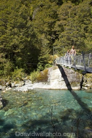 beech;bridge;bridges;brook;brooks;bubbling;bush;clean;clean-water;clear;clear-water;creek;creeks;fern;ferns;fiordland;Fiordland-N.P;Fiordland-National-Park;Fiordland-NP;flora;flow;foot-bridge;foot-bridges;footbridge;footbridges;forest;forestry;forests;green;hike;hiker;hikers;hikes;hiking;hiking-track;hiking-tracks;Hollyford-River;Hollyford-Valley;island;kb1a5941;lush;majestic;middle-earth;N.Z.;national-park;National-parks;native-bush;native-forest;natural;nature;new;new-zealand;NZ;outdoor;outdoors;pedestrian-bridge;pedestrian-bridges;pristine;rain-forest;rain-forests;rain_forest;rain_forests;rainforest;rainsforests;river;rivers;S.I.;scene;scenic;SI;south;South-Is.;South-Island;south-west;south-west-new-zealand-world-her;Southland;stream;streams;suspension-bridge;suspension-bridges;swing-bridge;swing-bridges;te-wahipounamu;te-wahipounamu-south_west-new;te-wahipounamu-south_west-new-zealand;track;Track-to-Lake-Marian;tracks;tramp;tramper;trampers;tramping;tramping-tack;tramping-tacks;tramps;trek;treker;trekers;treking;trekker;trekkers;trekking;undergrowth;verdant;walk;walker;walkers;walking;walking-track;walking-tracks;walks;water;watercourse;wet;wire-bridge;wire-bridges;world-heritage-area;World-Heritage-Site;zealand