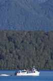 beautiful;beauty;Beech-Forest;boat;boats;bush;cruise;cruises;endemic;fiordland;Fiordland-N.P;fiordland-national-park;Fiordland-NP;forest;forests;green;holiday;holidaying;Holidays;lake;Lake-Te-Anau;lakes;launch;launches;n.z.;national-park;National-parks;native-bush;natural;nature;new-zealand;Nothofagus;nz;rain-forest;rain-forests;rain_forest;rain_forests;rainforest;rainforests;S.I.;scene;scenic;SI;South-Island;South-West-New-Zealand-World-Her;southern-beeches;Southland;te-anau;Te-Anau-Glow-Worm-Caves;te-wahipounamu;te-wahipounamu-south_west-new;tour-boat;tour-boats;tourism;tourist;tourist-boat;tourist-boats;tourists;travel;traveler;traveling;traveller;travelling;trees;Vacation;Vacationers;vacationing;Vacations;water;world-heirtage-site;world-heritage-area