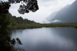 bad-weather;fiordland;Fiordland-N.P;fiordland-national-park;Fiordland-NP;milford-road;Mirror-Lakes;n.z.;national-park;National-parks;new-zealand;nz;rain;raining;rainy;S.I.;SI;South-Island;South-West-New-Zealand-World-Her;Southland;te-wahipounamu;te-wahipounamu-south_west-new;world-heirtage-site;world-heritage-area