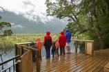 bad-weather;beautiful;beauty;Beech-Forest;boardwalks;boradwalk;bush;endemic;fiordland;Fiordland-N.P;fiordland-national-park;Fiordland-NP;footpath;footpaths;forest;forests;green;holiday;holidaying;Holidays;milford-road;Mirror-Lakes;n.z.;national-park;National-parks;native;native-bush;natives;natural;nature;new-zealand;Nothofagus;nz;path;paths;rain;rain-coat;rain-coats;rain-forest;rain-forests;rain_coat;rain_coats;rain_forest;rain_forests;raincoat;raincoats;rainforest;rainforests;raining;rainy;S.I.;scene;scenic;SI;South-Island;South-West-New-Zealand-World-Her;southern-beeches;Southland;te-wahipounamu;te-wahipounamu-south_west-new;tourism;tourist;tourists;travel;traveler;traveling;traveller;travelling;tree;trees;Vacation;Vacationers;vacationing;Vacations;walkway;walkways;wood;woods;world-heirtage-site;world-heritage-area