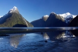 calm;coast;coastal;coastline;fiord;fiordland;Fiordland-N.P;Fiordland-National-Park;Fiordland-NP;Fiords;Fjord;Fjords;foreshore;island;kb1a5499;milford;milford-sound;mitre;mitre-peak;mountain;mountain-peak;mountains;N.Z.;national;national-park;National-parks;new;new-zealand;NZ;park;peak;peaks;placid;Quiet;reflection;reflections;ripple;rippled;ripples;S.I.;serene;shore;shoreline;SI;smooth;snow;snow-capped;snow_capped;snowcapped;sound;sounds;south;South-Is.;South-Island;south-west-new-zealand-world-her;Southland;still;summit;summits;te-wahipounamu;te-wahipounamu-south_west-new;tranquil;water;World-Heritage-Area;World-Heritage-Site;zealand