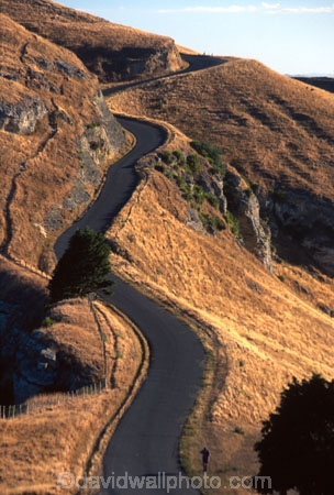countryside;pastoral;field;fields;meadow;meadows;tree;bush;peaks;hills;mountains;nature;road;roads;curve;curving