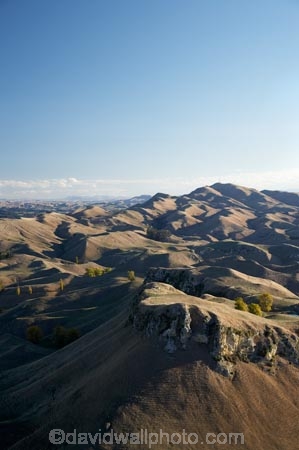 agricultural;agriculture;bluff;bluffs;cliff;cliffs;country;countryside;farm;farming;farmland;farms;field;fields;Hawkes-Bay;hill;hills;Kohinurakau-Range;meadow;meadows;Mount-Erin;mountainside;mountainsides;Mt-Erin;Mt.-Erin;N.I.;N.Z.;New-Zealand;NI;North-Island;NZ;paddock;paddocks;pasture;pastures;rural;steep;Te-Mata-Peak