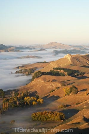 agricultural;agriculture;break-of-day;country;countryside;dawn;dawning;daybreak;farm;farming;farmland;farms;field;fields;first-light;fog;foggy;fogs;Hawkes-Bay;meadow;meadows;mist;mists;misty;morning;N.I.;N.Z.;New-Zealand;NI;North-Island;NZ;paddock;paddocks;pasture;pastures;rural;Te-Mata-Peak;Tukituki-River-Valley;view;views