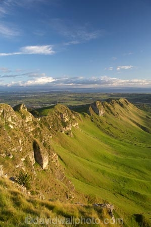 agricultural;agriculture;country;countryside;farm;farming;farmland;farms;field;fields;Hawkes-Bay;Hawkes-Bay;meadow;meadows;N.I.;N.Z.;New-Zealand;NI;North-Is;North-Is.;North-Island;NZ;paddock;paddocks;pasture;pastures;rural;season;seasonal;seasons;spring;springtime;Te-Mata-Peak;Te-Mata-Pk;Tukituki-River-Valley