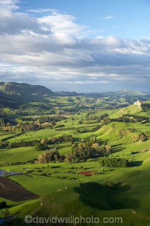 agricultural;agriculture;country;countryside;farm;farming;farmland;farms;field;fields;grass;green;Hawkes-Bay;Hawkes-Bay;Kohinurakau-Ra;Kohinurakau-Range;lush;meadow;meadows;N.I.;N.Z.;New-Zealand;NI;North-Is;North-Is.;North-Island;NZ;paddock;paddocks;pasture;pastures;rural;season;seasonal;seasons;spring;springtime;Tukituki-River-Valley;verdant