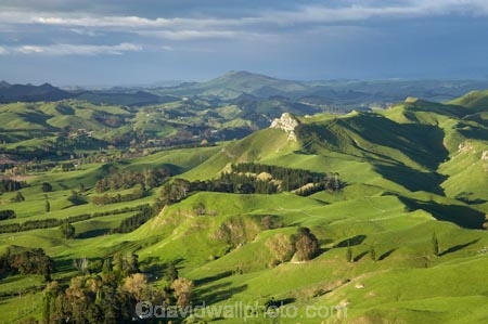 agricultural;agriculture;country;countryside;farm;farming;farmland;farms;field;fields;grass;green;Hawkes-Bay;Hawkes-Bay;Kohinurakau-Ra;Kohinurakau-Range;lush;meadow;meadows;N.I.;N.Z.;New-Zealand;NI;North-Is;North-Is.;North-Island;NZ;paddock;paddocks;pasture;pastures;rural;season;seasonal;seasons;spring;springtime;Tukituki-River-Valley;verdant