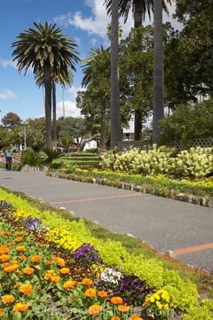 bright;Clive-Square;Clive-Square-Gardens;colorful;colourful;flower;flower-bed;flower-beds;flower-garden;flower-gardens;flowerbed;flowerbeds;flowers;Hawkes-Bay;Hawkes-Bay;Memorial-Square;N.I.;N.Z.;Napier;New-Zealand;NI;North-Is;North-Is.;North-Island;NZ;public-garden;public-gardens;season;seasonal;seasons;spring;springtime