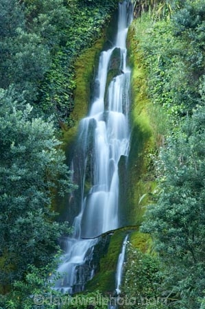cascade;cascades;Centennial-Gardens;creek;creeks;falls;Hawkes-Bay;Hawkes-Bay;N.I.;N.Z.;Napier;natural;nature;New-Zealand;NI;North-Is;North-Is.;North-Island;NZ;scene;scenic;stream;streams;water;water-fall;water-falls;waterfall;waterfalls;wet