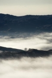 break-of-day;dawn;dawning;daybreak;first-light;fog;foggy;fogs;Hawkes-Bay;mist;mists;misty;monochromatic;monochrome;morning;N.I.;N.Z.;New-Zealand;NI;North-Island;NZ;Te-Mata-Peak;view;views;weather