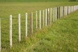 agricultural;agriculture;country;countryside;farm;farming;farmland;farms;fence;fence-line;fence-lines;fence-post;fence_line;fence_lines;fenceline;fencelines;fences;field;fields;grass;green;Hawkes-Bay;Hawkes-Bay;lush;meadow;meadows;N.I.;N.Z.;New-Zealand;NI;North-Is;North-Is.;North-Island;NZ;paddock;paddocks;pasture;pastures;post-and-wire;rural;season;seasonal;seasons;spring;springtime;Tukituki-River-Valley;verdant