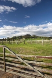 agricultural;agriculture;country;countryside;crop;crops;cultivation;farm;farming;farmland;farms;field;fields;gate;gates;gateway;gateways;grape;grapes;grapevine;Havelock-North;Hawkes-Bay;Hawkes-Bay;horticulture;meadow;meadows;Montana;Montana-Terraces-Estate-Vineyard;Montana-Wines;N.I.;N.Z.;New-Zealand;NI;North-Is;North-Is.;North-Island;NZ;paddock;paddocks;pasture;pastures;row;rows;rural;rustic;Terraces-Estate-Vineyard;vine;vines;vineyard;vineyards;vintage;wine;wineries;winery;wines