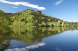 calm;Hawkes-Bay;Hawkes-Bay;lake;Lake-Tutira;Lake-Waikopiro;lakes;N.I.;N.Z.;New-Zealand;NI;North-Is;North-Is.;North-Island;NZ;placid;quiet;reflection;reflections;season;seasonal;seasons;serene;smooth;spring;springtime;still;tranquil;water