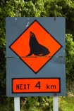 coast;coastal;coastline;driving;fur-seal;fur-seals;highway;highways;kaikoura;Kaikoura-Coast-Road;Kaikoura-Coastal-Road;Marlborough;N.Z.;New-Zealand;New-Zealand-fur-seal;New-Zealand-fur-seals;NZ;NZ-fur-seal;NZ-fur-seals;orange;road;road-network;road-trip;roads;S.I.;seal-warning-sign;seal-warning-signs;SH1;SI;sign;signs;South-Is;South-Island;state-highway-1;state-highway-one;Sth-Is;transport;transportation;travel;traveling;travelling;trip;warning-sign;warning-signs