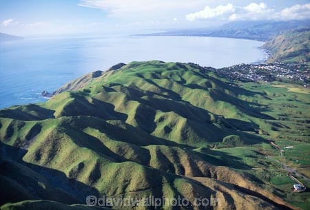 coast;coastal;coastline;farm;farming;farms;field;fields;green;gullies;gully;hill;hills;ocean;paddock;paddocks;pasture;pastures;ridge;ridges;sea;tasman-sea;valley;valleys