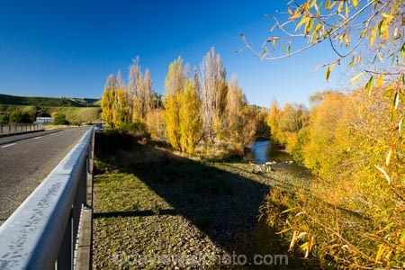 autuminal;autumn;autumn-colour;autumn-colours;autumnal;color;colors;colour;colours;deciduous;driving;fall;highway;highways;Huangarua-River;leaf;leaves;Martinborough;N.I.;N.Z.;New-Zealand;NI;North-Island;NZ;open-road;open-roads;poplar;poplars;road;road-trip;roads;season;seasonal;seasons;straight;transport;transportation;travel;traveling;travelling;tree;trees;trip;Wairarapa