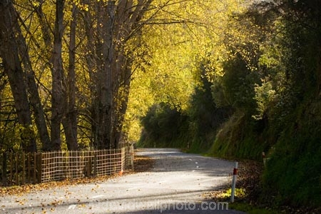 autuminal;autumn;autumn-colour;autumn-colours;autumnal;bend;bends;color;colors;colour;colours;corner;corners;deciduous;driving;fall;fence;fenceline;fencelines;fences;highway;highways;leaf;leaves;Mangaweka;N.I.;N.Z.;New-Zealand;NI;North-Island;NZ;open-road;open-roads;Rangitikei;road;road-trip;roads;season;seasonal;seasons;transport;transportation;travel;traveling;travelling;tree;trees;trip