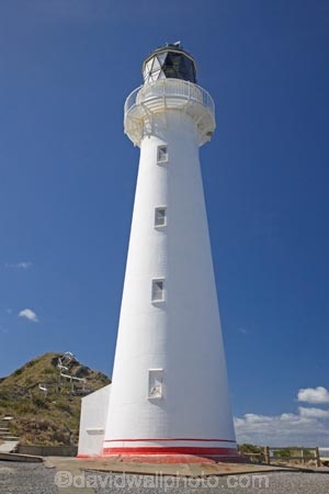 beacon;beacons;castle;Castle-Point;Castle-Point-Lighthouse;castlepoint;Castlepoint-Lighthouse;Castlepoint-scenic-reserve;coast;coastal;coastline;coastlines;coasts;island;light;light-house;light-houses;lighthouse;light_house;lighthouses;light_houses;lights;Lower-North-Island;N.I.;N.Z.;navigate;Navigation;new;new-zealand;NI;north;North-Is;north-is.;north-island;NZ;o8l0731;ocean;oceans;point;tower;towers;wairarapa;zealand