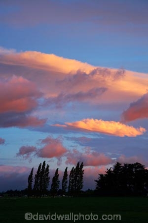 and;break-of-day;carterton;dawn;dawning;daybreak;farmland;first-light;island;Lower-North-Island;morning;N.I.;N.Z.;near;new;new-zealand;NI;north;North-Is;north-is.;north-island;NZ;o8l1043;over;sunrise;sunrises;sunup;tree;trees;twilight;wairarapa;zealand