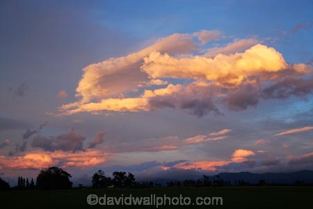 and;break-of-day;carterton;dawn;dawning;daybreak;farmland;first-light;island;Lower-North-Island;morning;N.I.;N.Z.;near;new;new-zealand;NI;north;North-Is;north-is.;north-island;NZ;o8l1047;over;sunrise;sunrises;sunup;tree;trees;twilight;wairarapa;zealand