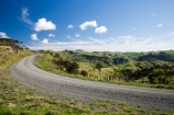 agricultural;agriculture;country;countryside;dusty;farm;farming;farmland;farms;field;fields;gravel-road;gravel-roads;meadow;meadows;metal-road;metal-roads;metalled-road;metalled-roads;N.I.;N.Z.;New-Zealand;NI;North-Island;NZ;paddock;paddocks;pasture;pastures;road;roads;rural;Wairarapa