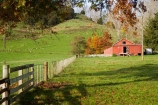 agricultural;agriculture;autuminal;autumn;autumn-colour;autumn-colours;autumnal;color;colors;colour;colours;country;countryside;deciduous;fall;farm;Farm-Building;Farm-Buildings;Farm-Shed;Farm-Sheds;farming;farmland;farms;fence;fenceline;fencelines;fences;field;fields;Kawhatau-Valley;leaf;leaves;meadow;meadows;N.I.;N.Z.;New-Zealand;NI;North-Island;NZ;paddock;paddocks;pasture;pastures;Rangitikei;rural;season;seasonal;seasons;Shearing-Shed;Shearing-Sheds;Sheep-Shed;Sheep-Sheds;tree;trees;Wool-Shed;Wool-Sheds