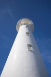 beacon;beacons;castle;Castle-Point;Castle-Point-Lighthouse;castlepoint;Castlepoint-Lighthouse;Castlepoint-scenic-reserve;coast;coastal;coastline;coastlines;coasts;island;light;light-house;light-houses;lighthouse;light_house;lighthouses;light_houses;lights;Lower-North-Island;N.I.;N.Z.;navigate;Navigation;new;new-zealand;NI;north;North-Is;north-is.;north-island;NZ;o8l0753;ocean;oceans;point;tower;towers;wairarapa;zealand