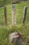 agricultural;agriculture;bench;Bench-Mark;Bench-Marks;country;countryside;Department-of-Lands-and-Survey;Dept-of-Lasnds-and-Survey;farm;farming;farmland;farms;fence;fence-line;fence-lines;fenceline;fence_line;fencelines;fence_lines;fences;field;fields;geodetic;Geodetic-Bench-Mark;Geodetic-Bench-Marks;island;K814;Lower-North-Island;mark;meadow;meadows;N.I.;N.Z.;new;new-zealand;NI;north;North-Is;north-is.;north-island;NZ;o8l6772;paddock;paddocks;pasture;pastures;rural;survey-mark;survey-marks;wairarapa;zealand