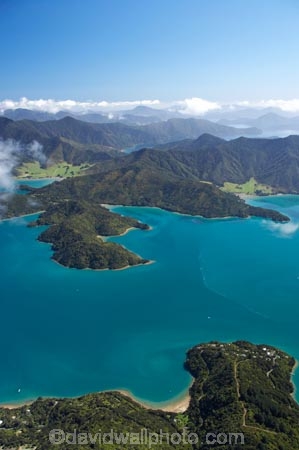 aerial;aerials;bay;bays;beautiful;beauty;bush;coast;coastal;coastline;coastlines;coasts;cove;coves;endemic;forest;forests;green;inlet;inlets;kenepuru-sound;marlborough;Marlborough-Sounds;native;native-bush;natives;natural;nature;new-zealand;nz;scene;scenic;sea;shore;shoreline;shorelines;shores;sound;sounds;south-island;tree;trees;water;woods