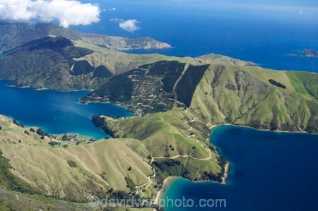 Admiralty-Bay;aerial;aerials;bay;bays;burnside-bay;Cissy-bay;coast;coastal;coastline;coastlines;coasts;cove;coves;Elsie-bay;hallam-cove;Hamilton-Bays;inlet;inlets;marlborough;Marlborough-Sounds;new-zealand;nz;sea;shore;shoreline;shorelines;shores;sound;sounds;south-island;Te-Towaka-Bay;water