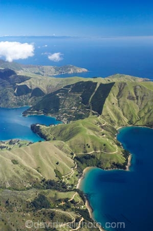 Admiralty-Bay;aerial;aerials;bay;bays;burnside-bay;Cissy-bay;coast;coastal;coastline;coastlines;coasts;cove;coves;Elsie-bay;hallam-cove;Hamilton-Bays;inlet;inlets;marlborough;Marlborough-Sounds;new-zealand;nz;sea;shore;shoreline;shorelines;shores;sound;sounds;south-island;Te-Towaka-Bay;water