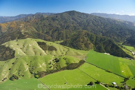 aerial;aerials;agricultural;agriculture;blenheim;country;countryside;crop;crops;farm;farming;farmland;farms;field;fields;horticulture;marlborough;meadow;meadows;n.z.;New-Zealand;nz;paddock;paddocks;pasture;pastures;rural;South-Island;tuamarina