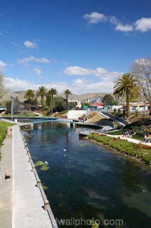 Blenheim;Marlborough;New-Zealand;palm;palm-tree;palm-trees;palms;river;rivers;Riverside-Park;South-Island;Taylor-River;waterside